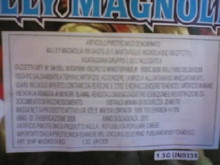 Foto(1481)Lilly magnolia.jpg