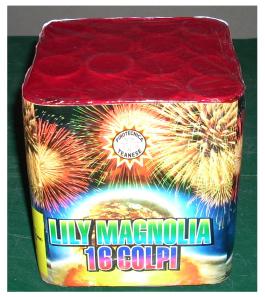 lilly 16 colpi.JPG