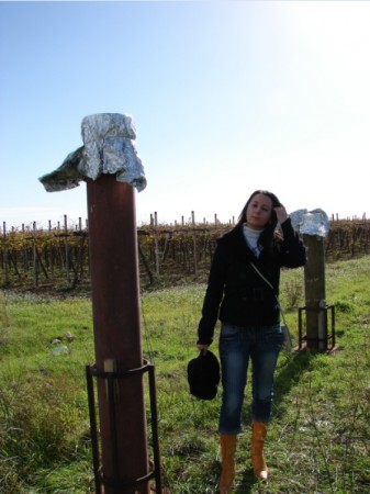 2010_13 (17).jpg