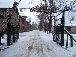 250px-Auschwitz_I_entrance_snow.jpg
