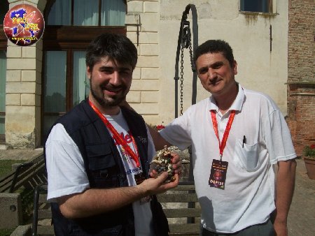 foto_pirotecnica_san_giorgio_woland.jpg
