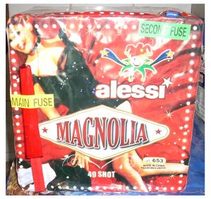 magnolia.JPG