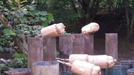 20140725_182439.jpg