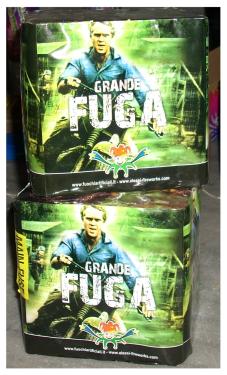 grande fuga.JPG