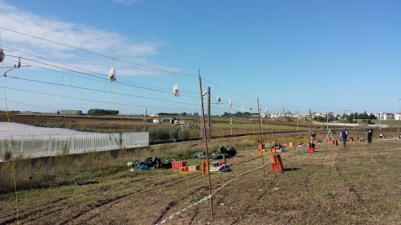 20141109_113306.jpg