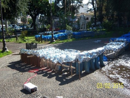 004 - Copia.JPG