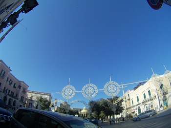 C0131581.JPG