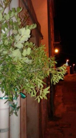 rps20160724_233545.jpg