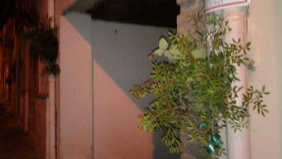 rps20160724_233618.jpg