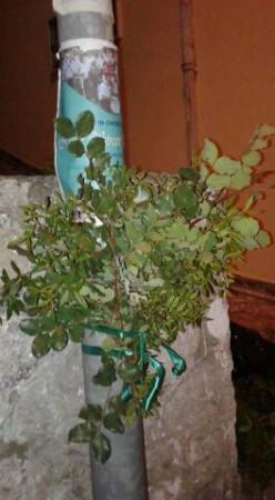 rps20160724_233646.jpg