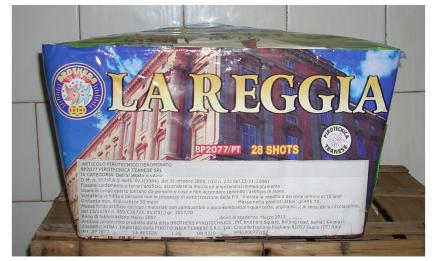 la reggia.JPG