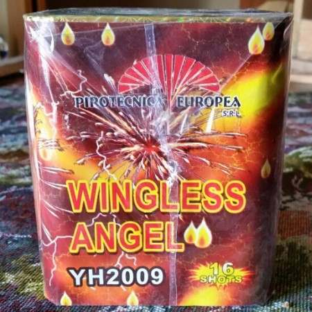 Wingless Angel.jpg