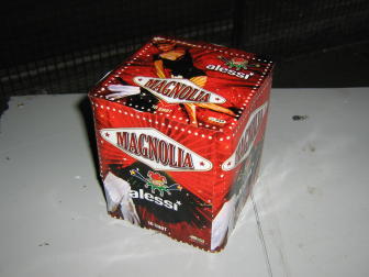 magnolia 16.JPG