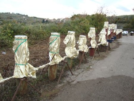 foto 5.jpg