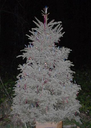 2006103113856_2006103105410_8_2.jpg