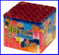 spettacolo ok hawaii 4 cat borgonovo.jpg