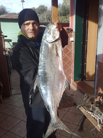 Ricciola.jpg