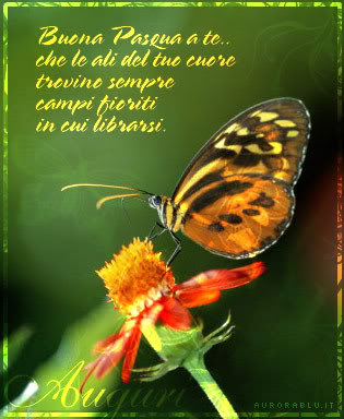 buona_pasqua.jpg