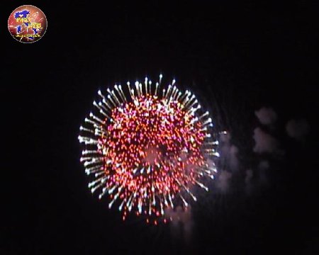 scudo parete 2010.JPG