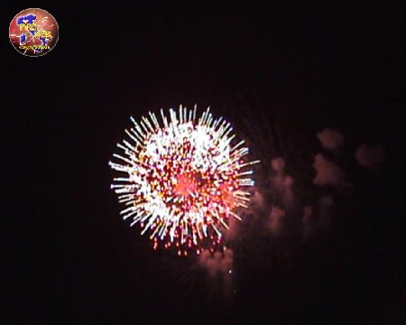 ditta scudo parete 2010 2.JPG