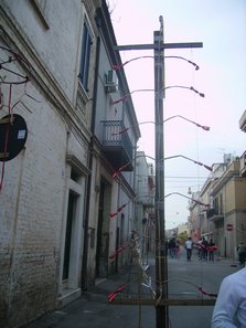 223_PICT0111.jpg