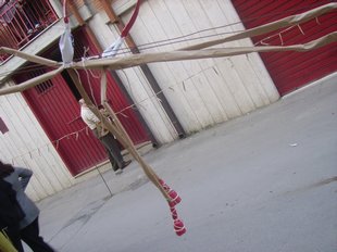 310_PICT0113.jpg