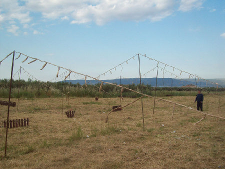000_0008.jpg