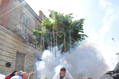 DSC_2689.jpg