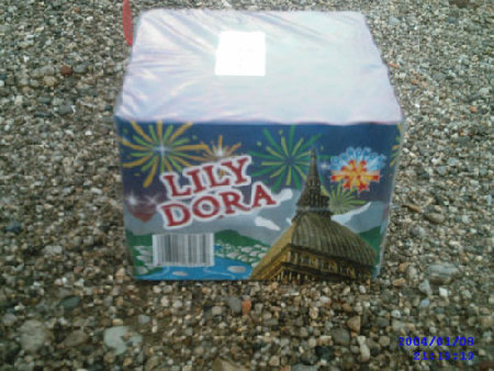 Borgonovo_Lily_Dora.jpg