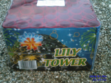 Borgonovo_Lily_Tower.jpg