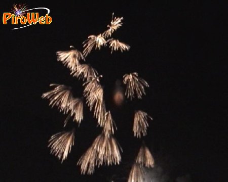 PDVD_001.JPG