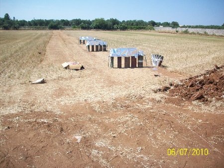 scorrano 2010 096.jpg