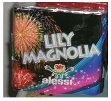 lilly 16 alessi.JPG