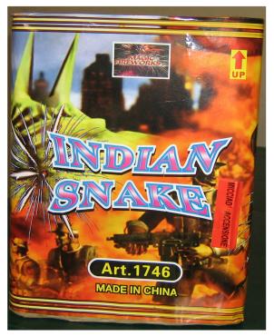 indian snake.JPG