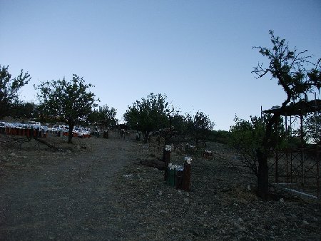 DSCF1923_little.jpg