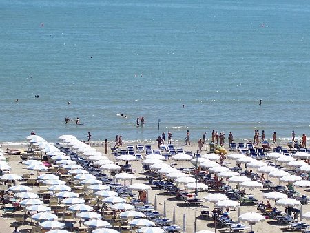 100_1990.JPG