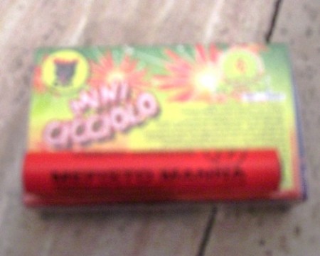 Copia di CIMG5390.JPG