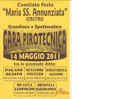 volantino_01_castro_2011.jpg