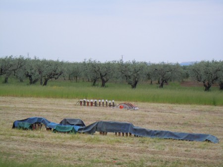 DSCN0445.jpg