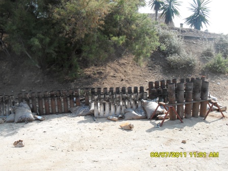 SDC16563.JPG
