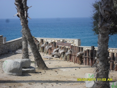 SDC16564.JPG
