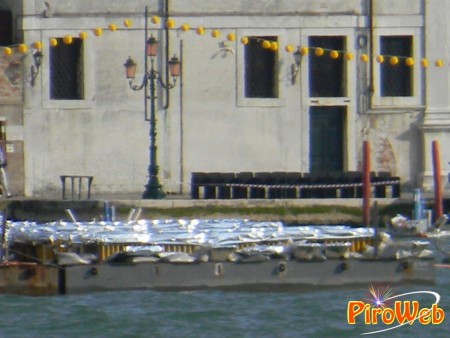 venezia_22.jpg