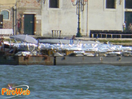venezia_36.jpg