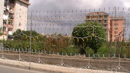 PIC_0070.JPG