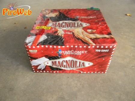 magnolia_01.jpg