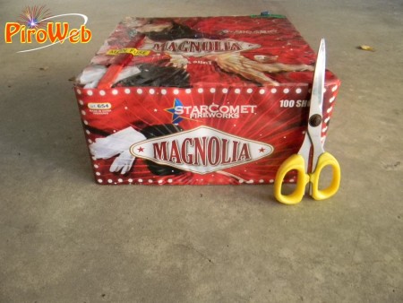 magnolia_02.jpg