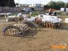 Filename=Aci_Sant_Antonio_2010_29_La_Rosa.jpg
Filesize=171KB
Dimensions=1024x768
Date added=Oct 15, 2010 Aci_Sant_Antonio_2010_29_La_Rosa.jpg