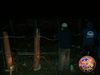 Lieto_notturno_17.jpg