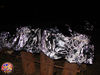 Filename=Di_Muoio_06.jpg
Filesize=224KB
Dimensions=1024x768
Date added=Nov 18, 2009 Di_Muoio_06.jpg