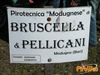 Adelfia_2010_001_Pellicani.jpg